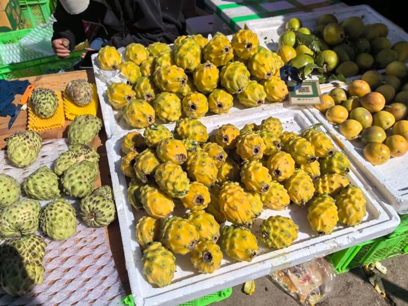 Chengjiang Shihuayuan Agricultural Products Trade Market