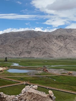 Tashkurgan Stone City and Golden Grassland 