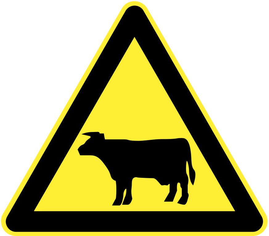 Animals on the road