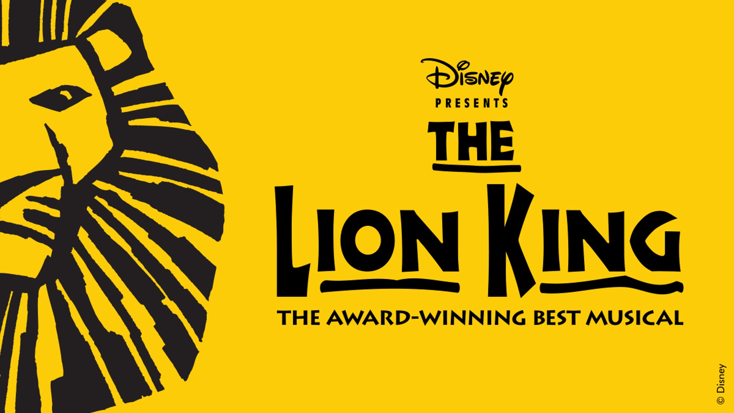 Casting Talent For Disney's The Lion King On Broadway!