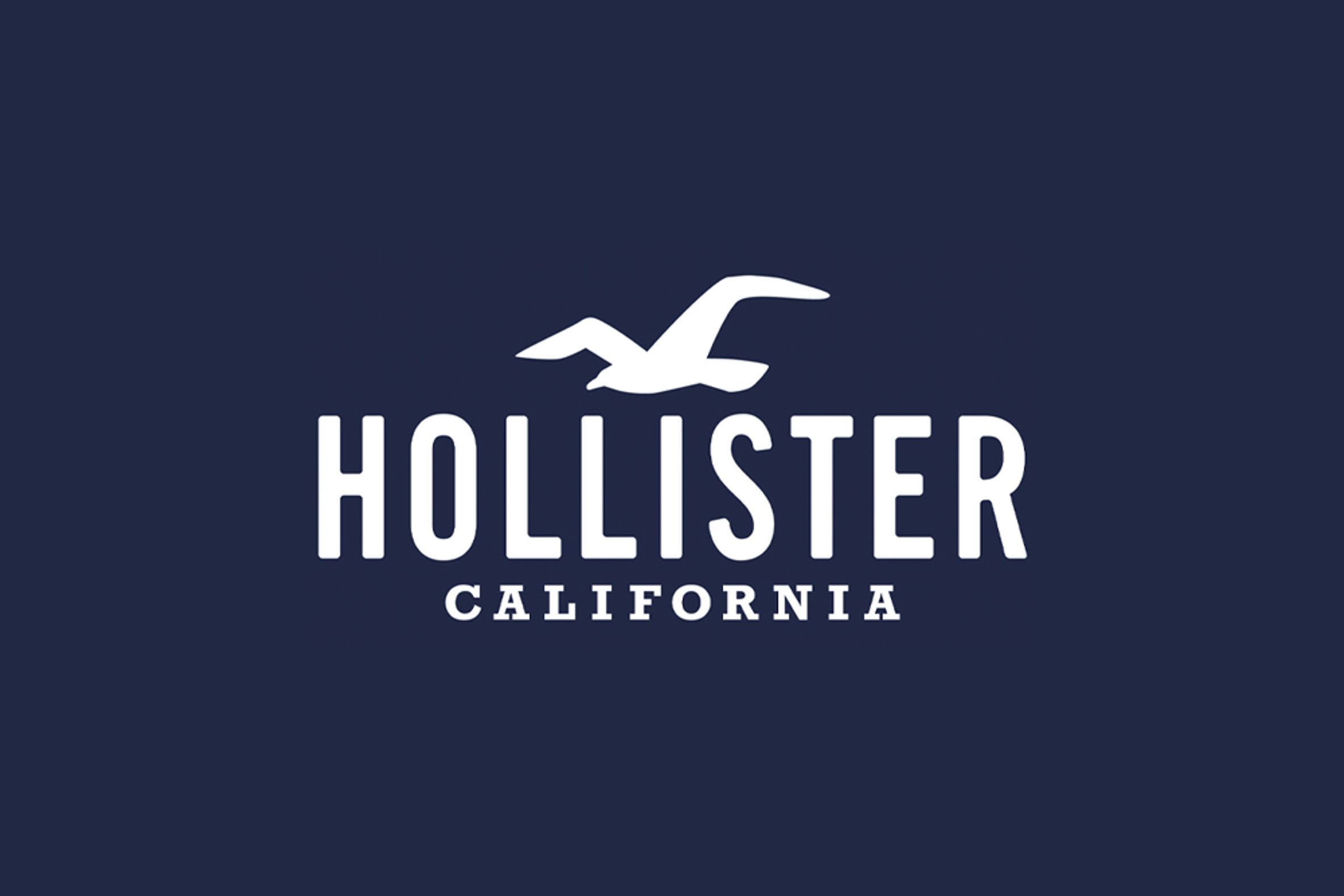 Hollister Co. Casting for Models