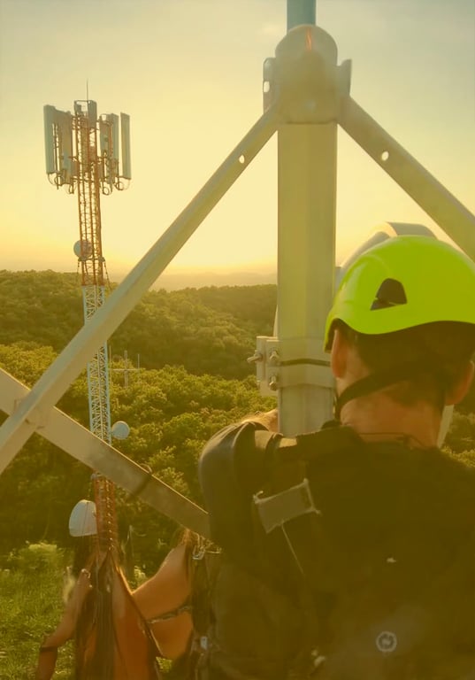 Government | Telecom