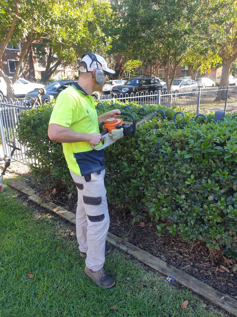 Garden Hedge Trimming