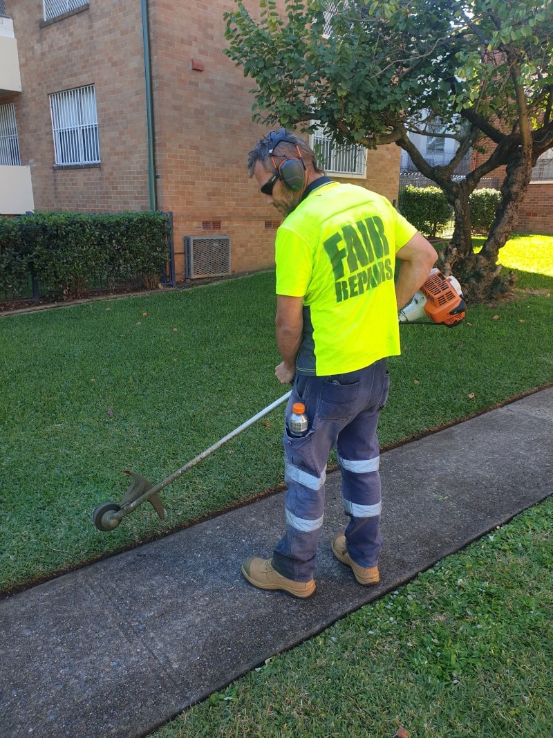 Gardening Edge Trimming