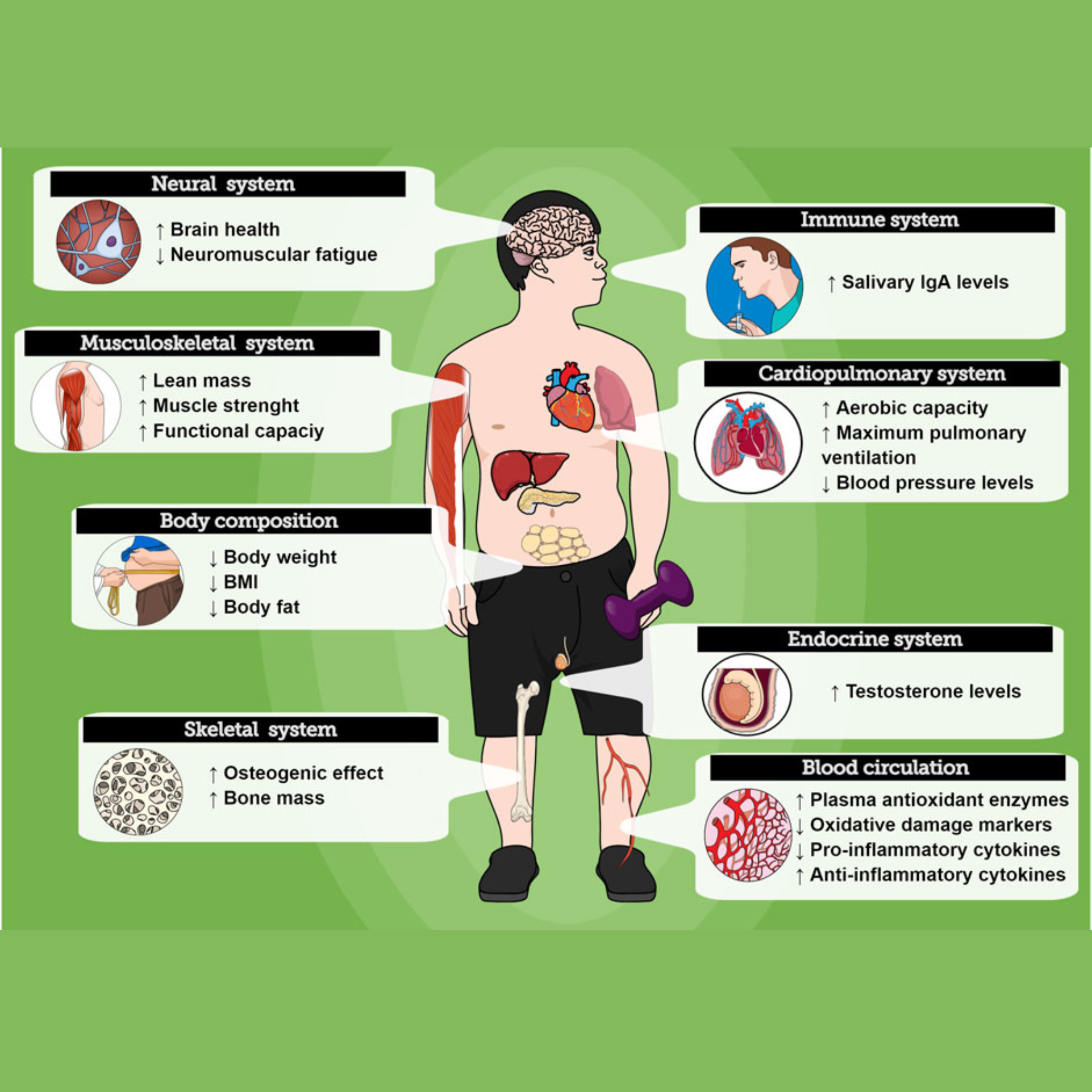 Exercise & Mental Health (3)
