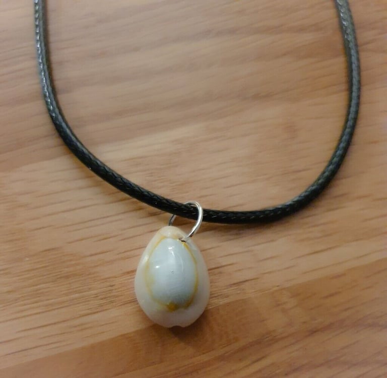 Natural cowrie shell handmade pendant necklace on black cord