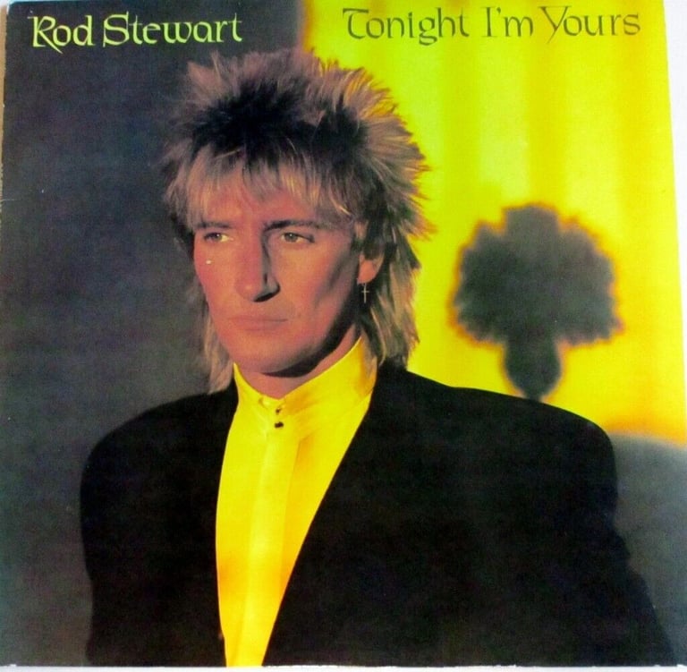 image for ROD STEWART... LP RECORD - TONIGHT I'M YOURS