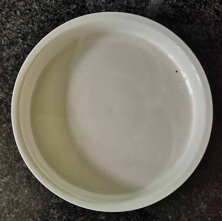 Johnson Brothers flan dish