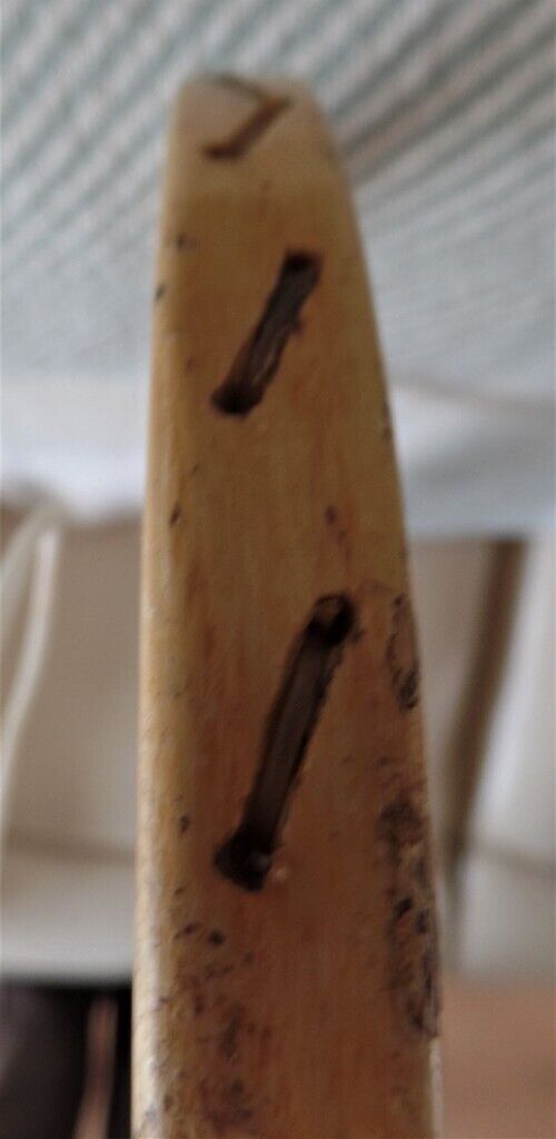 Vintage Tennis Racket & Cover