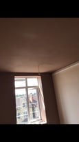 Plasterer - highly skilled and experienced 