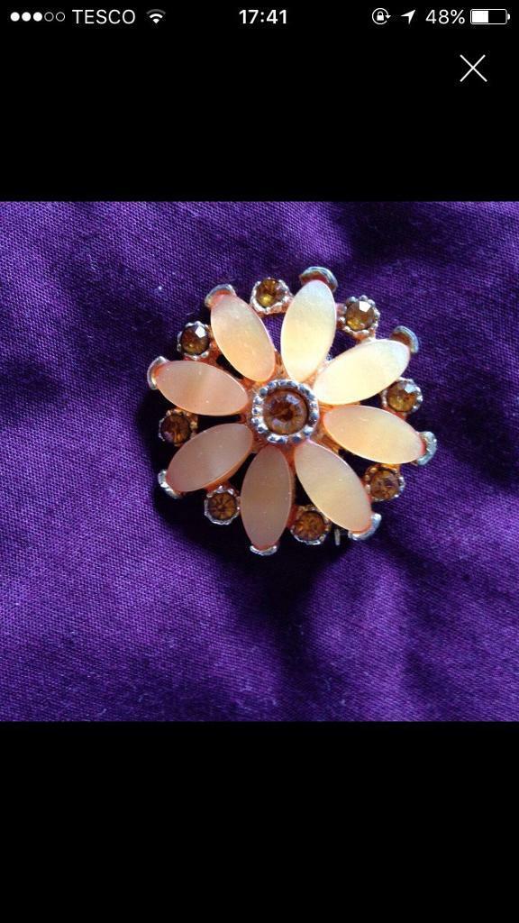 image for Very eye catching brooch 