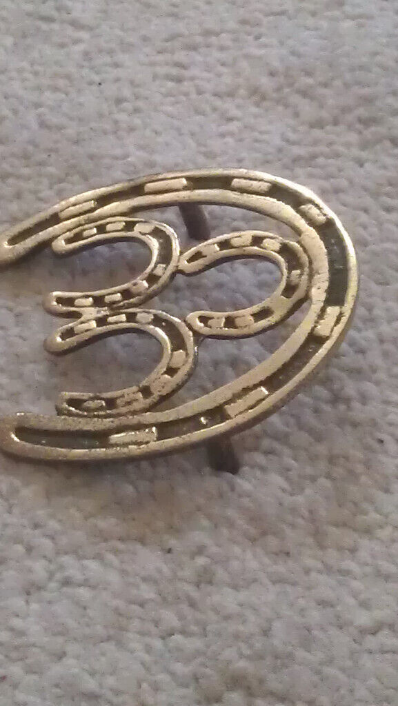 Brass Horse Shoe
