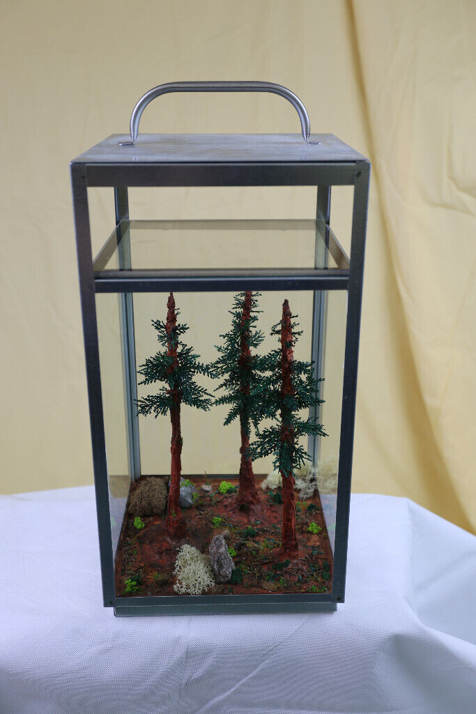 image for Redwoods Handmade Diorama.