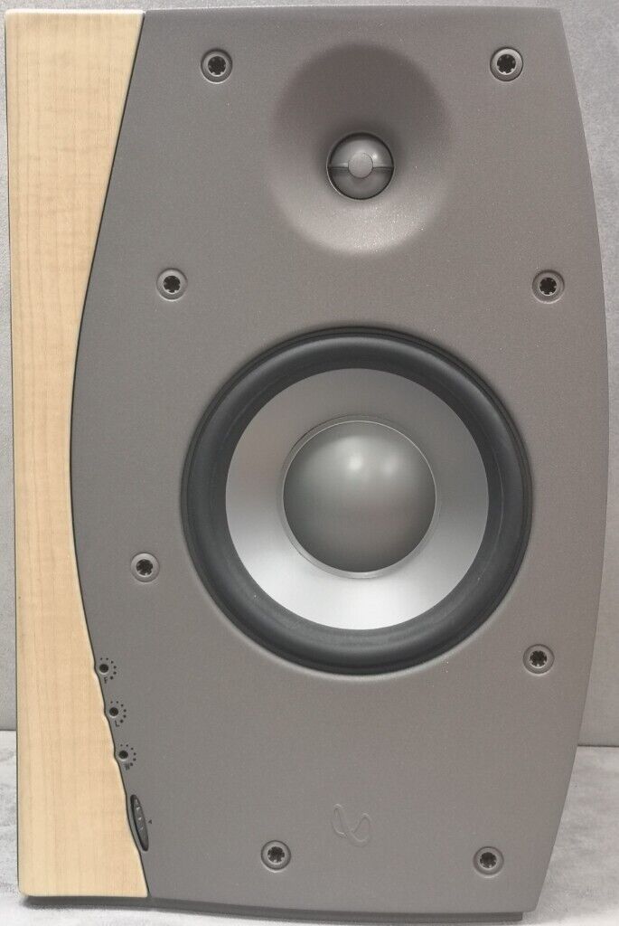 Infinity Intermezzo 2.6 Speakers with R.A.B.O.S. kit & stands