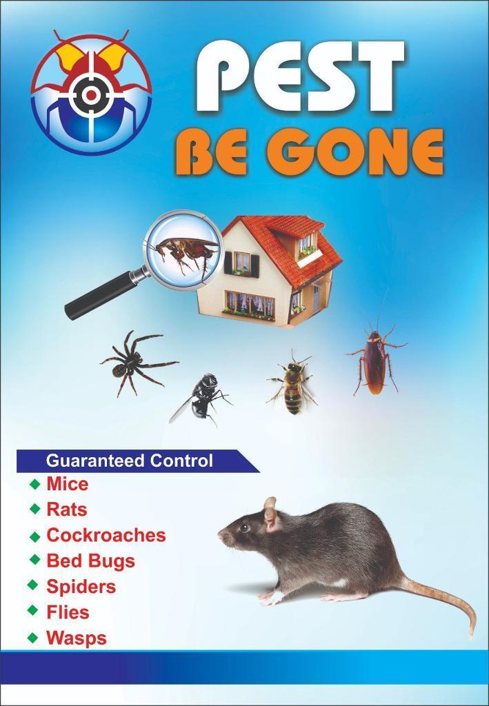 Mice Rat bedbugs cockroaches ants flees flies mouse all pest services 