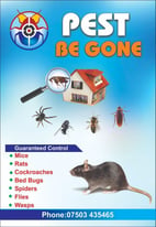 Pest control services Rat Mice Bedbugs Cockroaches same-day booking 