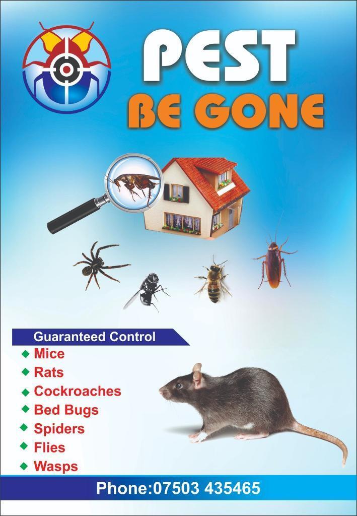 Pest control services Rat Mice Bedbugs Cockroaches same-day booking 