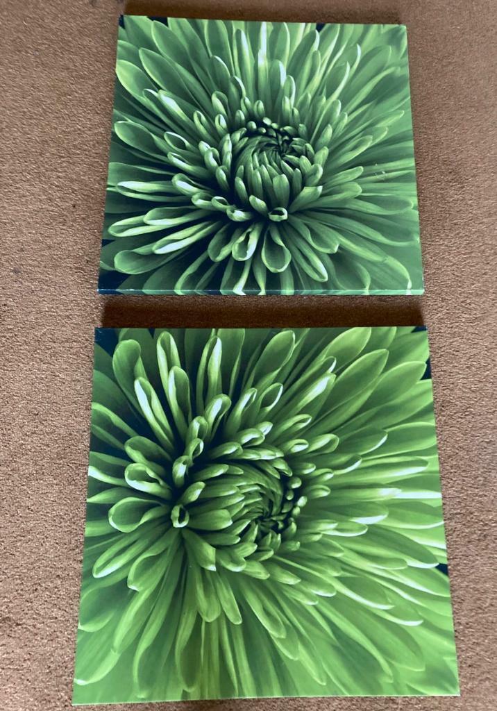 image for Green floral pictures 