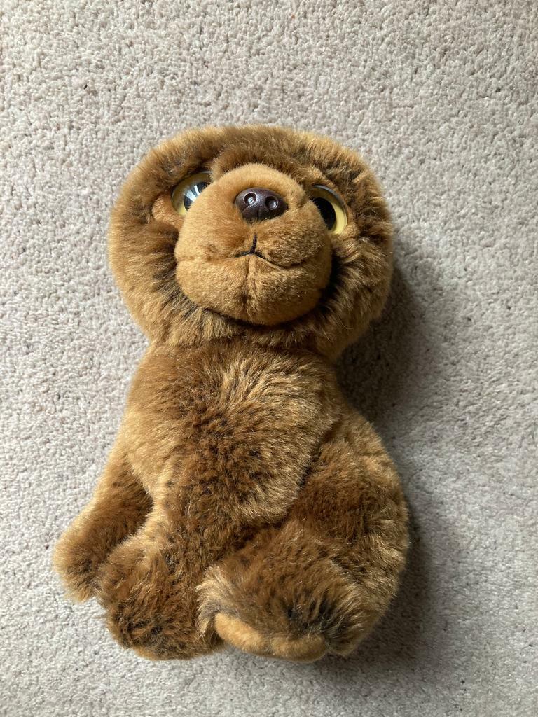 TY Bear