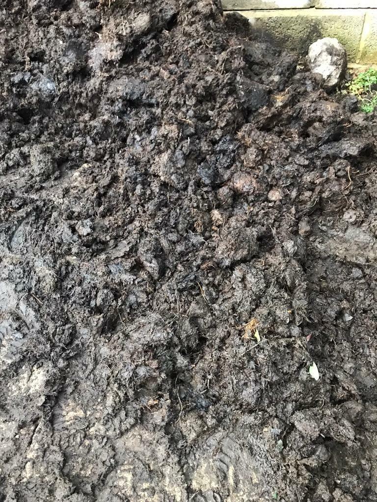 Well rotted fabulous organic cow manure