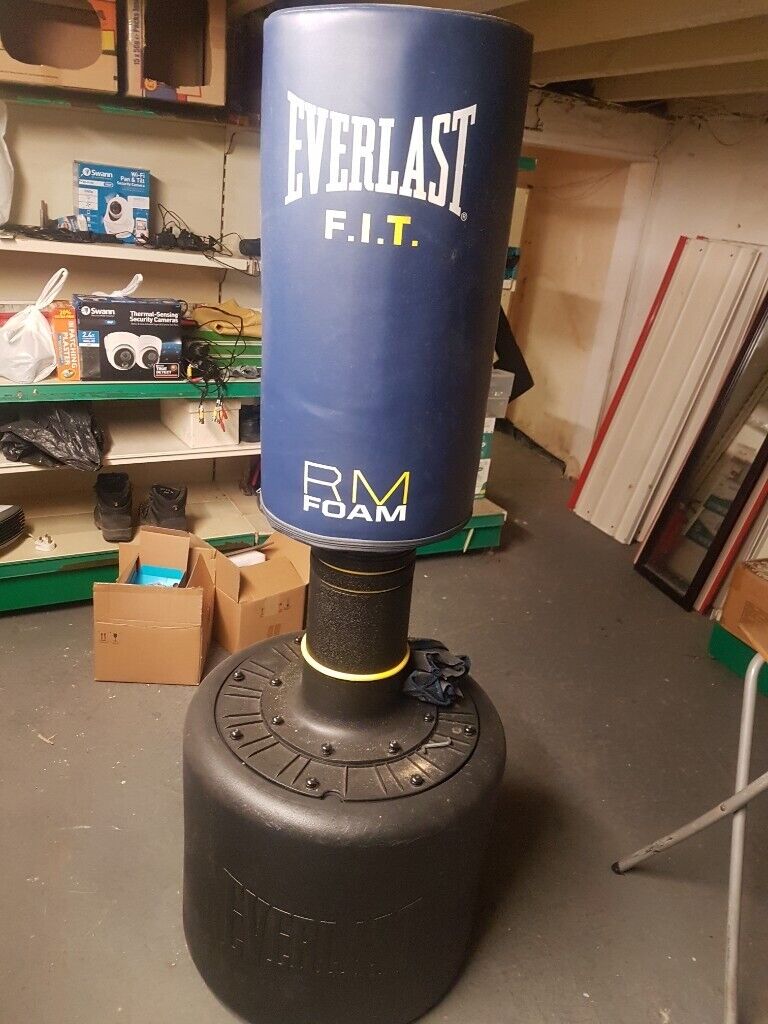 image for Everlast Boxing Set with Gloves used