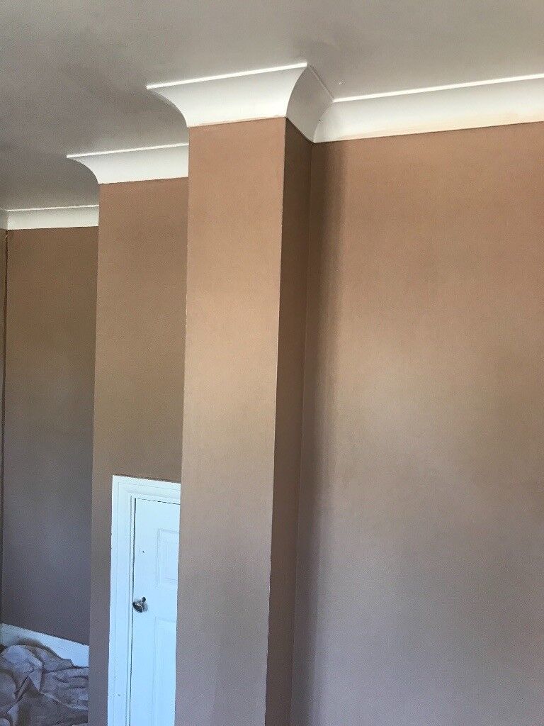 image for Plasterer - highly skilled and experienced 