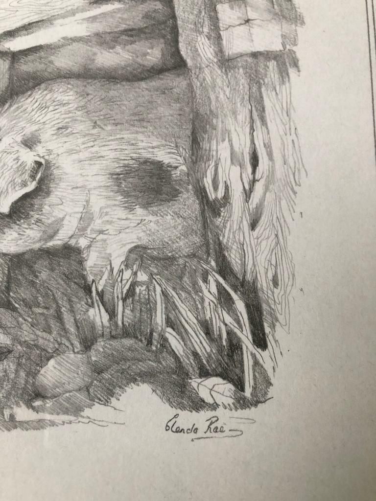 Glenda Rae signed black and white Pigs print in walnut coloured frame. Collect Chichester