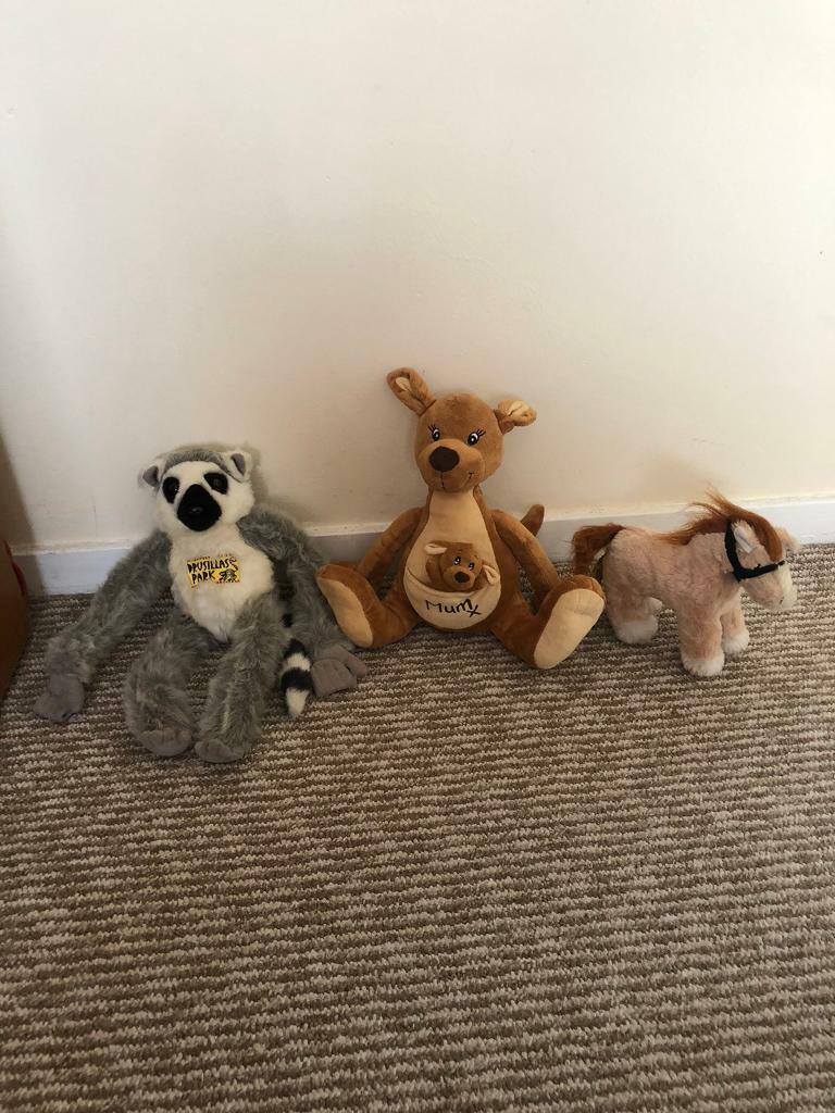 image for Soft toys bears 