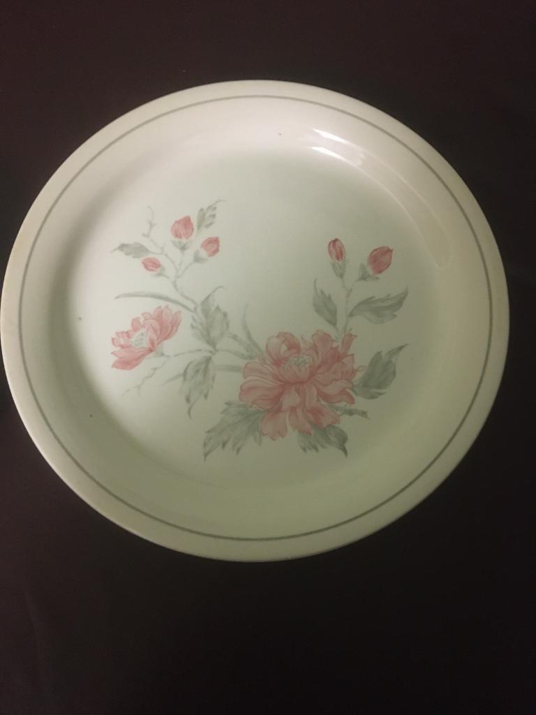 image for TWO DINNER  PLATE .