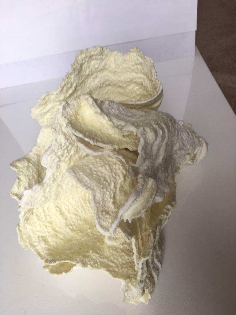 pottery barn large REALISTIC CORAL STATUE GARDEN ORNAMENT CORAL new IN BOX IDEAL GIFT