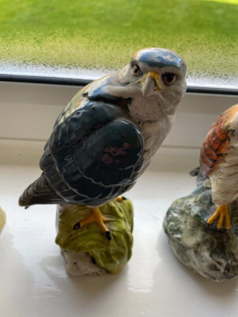 10 Royal Doulton Birds Of Prey Whiskey Flasks