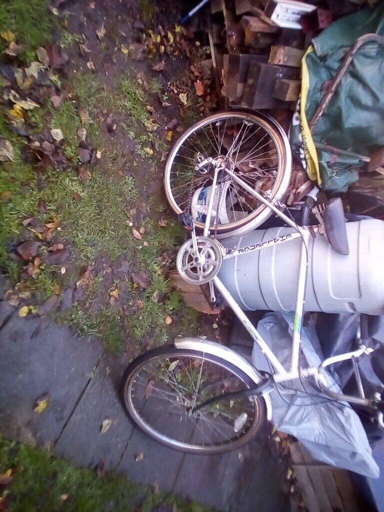 image for Bicycle challenge crusier