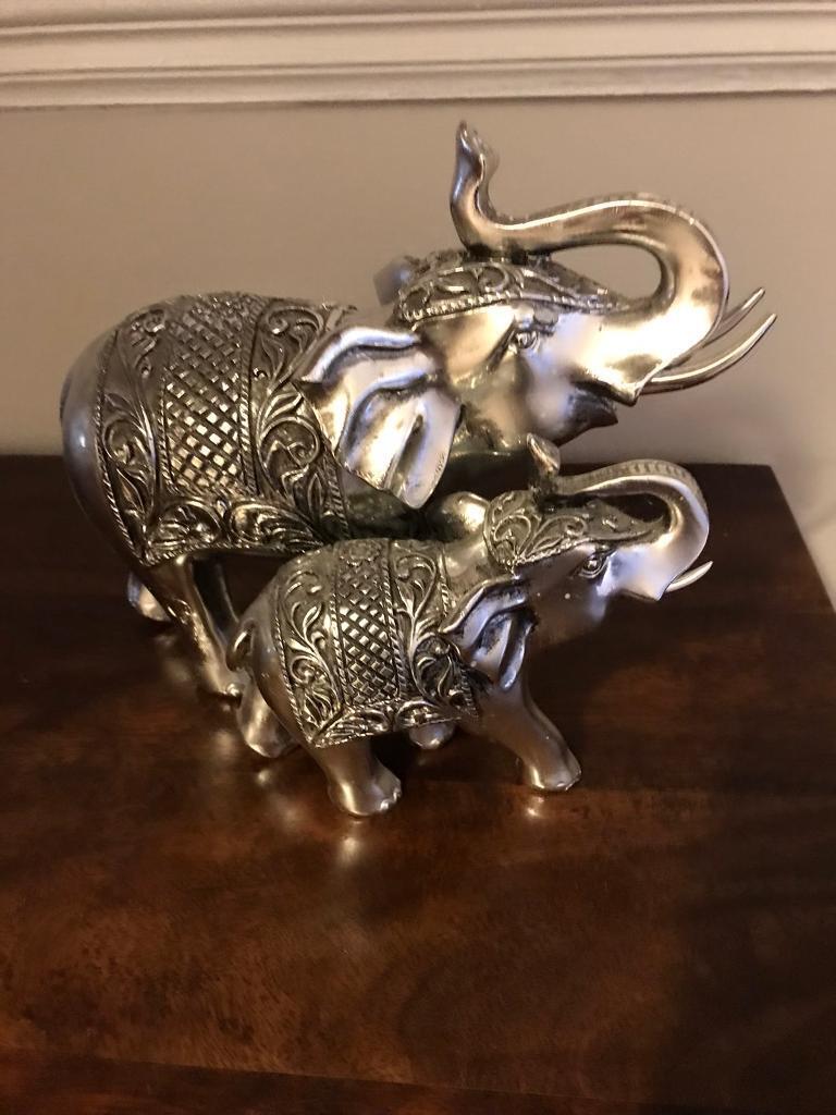 Elephants 