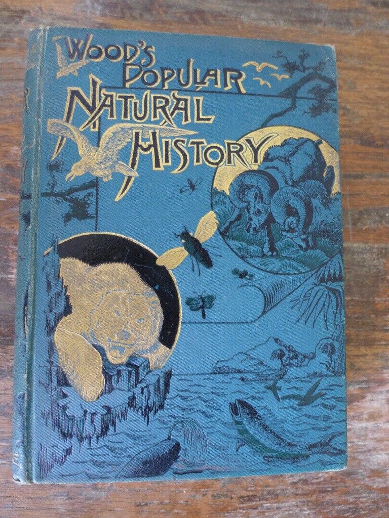image for Antique vintage hardback: WOOD'S POPULAR NATURAL HISTORY. By the Rev J G Wood. Fourth edition.