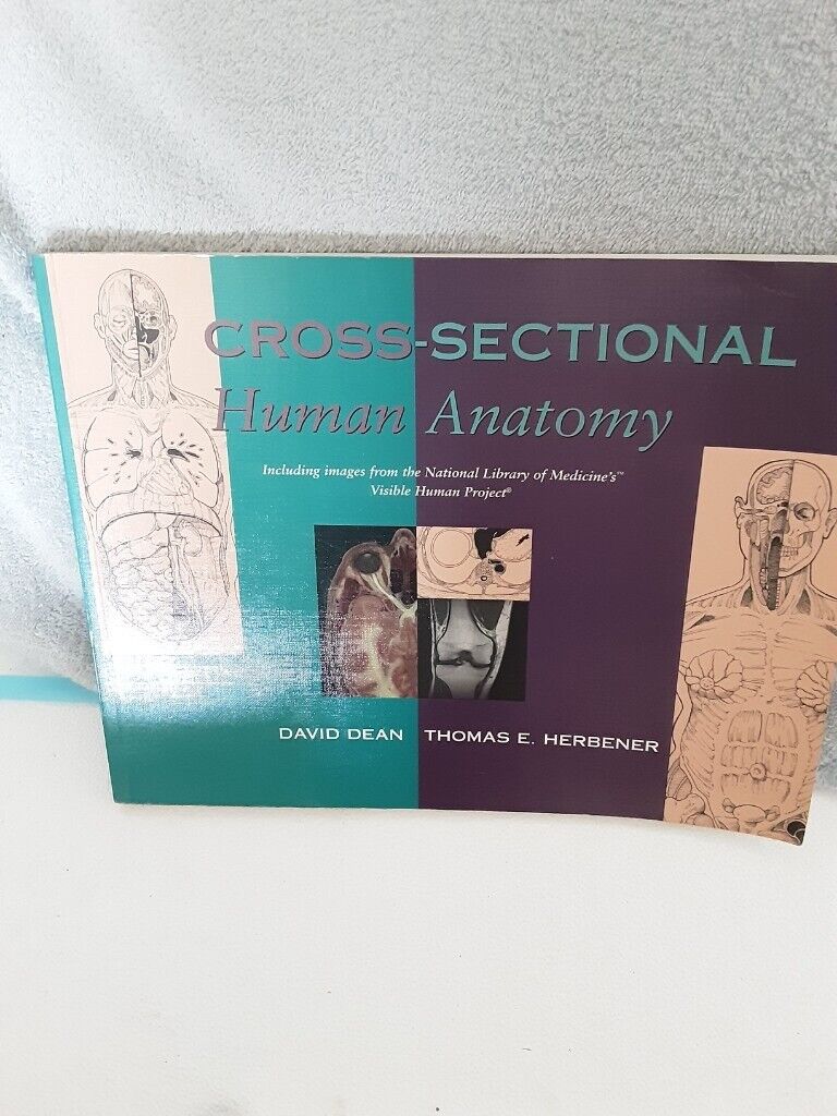 image for Medical Anatomy Radiology