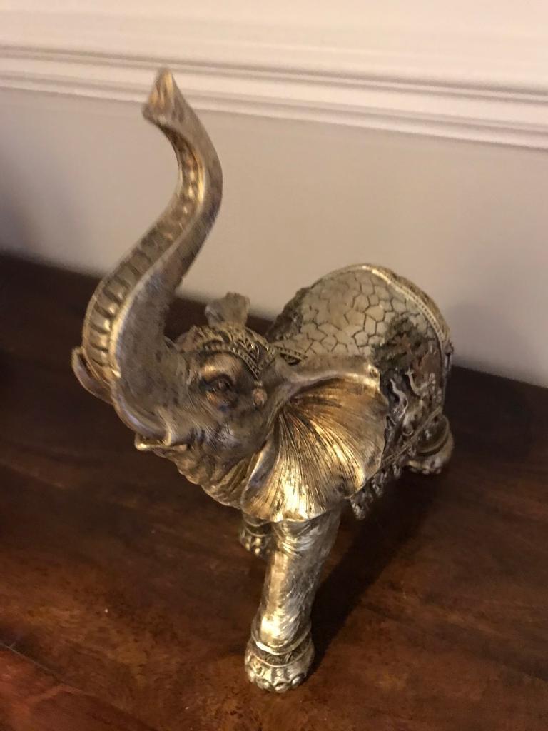 Elephant 