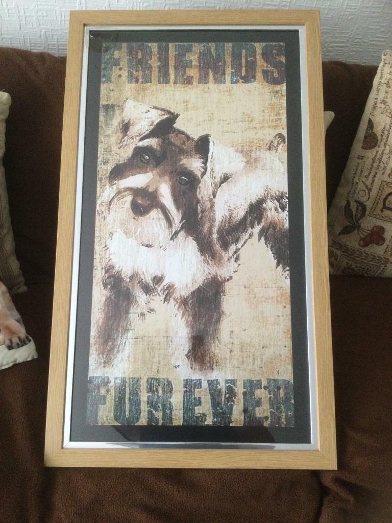 Gorgeous Large Framed and Glazed Picture of a Dog 