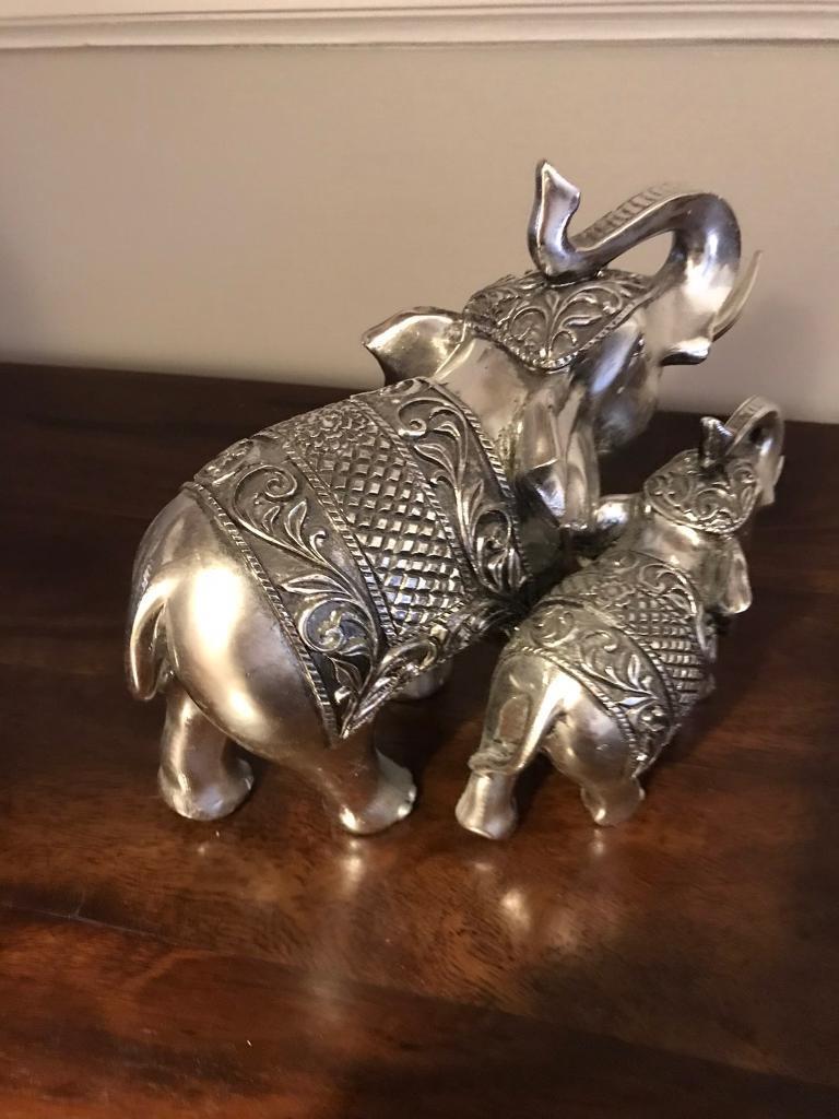 Elephants 