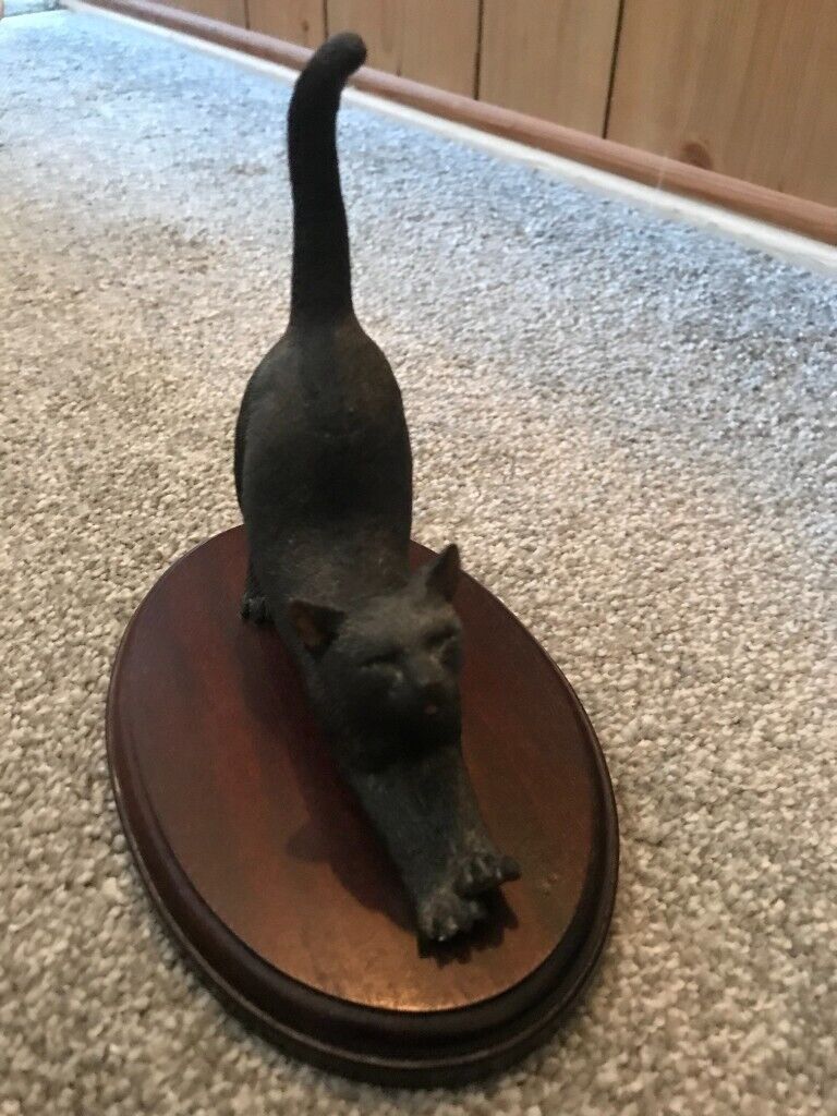 image for BLACK CAT