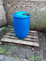 Plastic barrels | Stuff for Sale - Gumtree