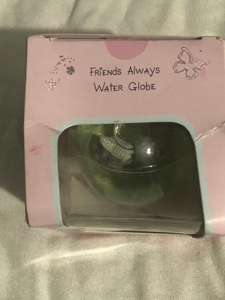 Glass water globe