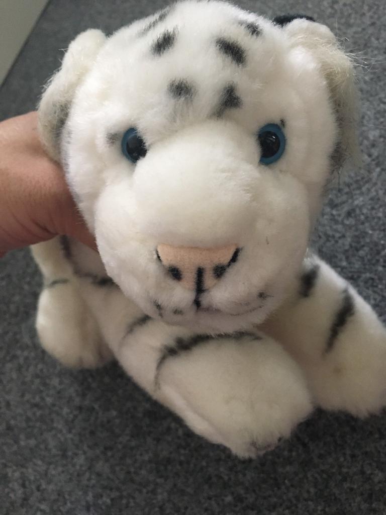 Plush bear 
