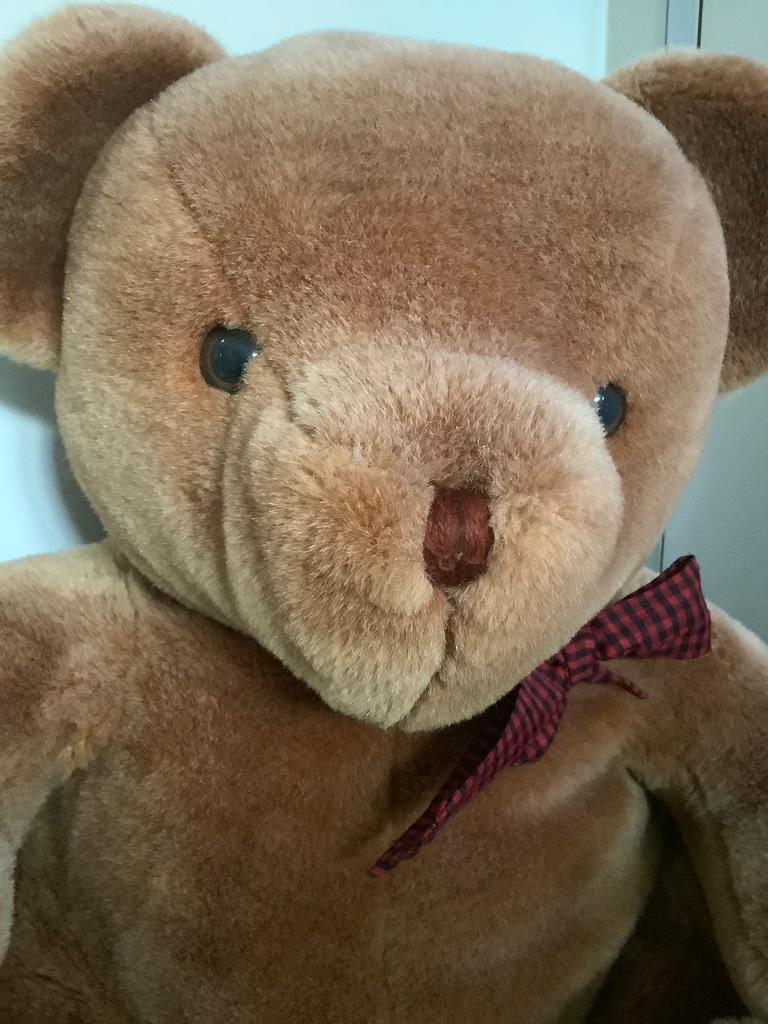 Large plush Teddy Bear