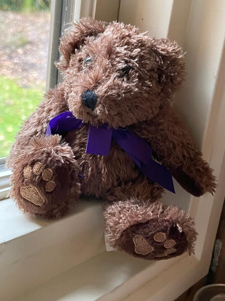 image for Cadbury World 5” Chocolate Brown Teddy Bear