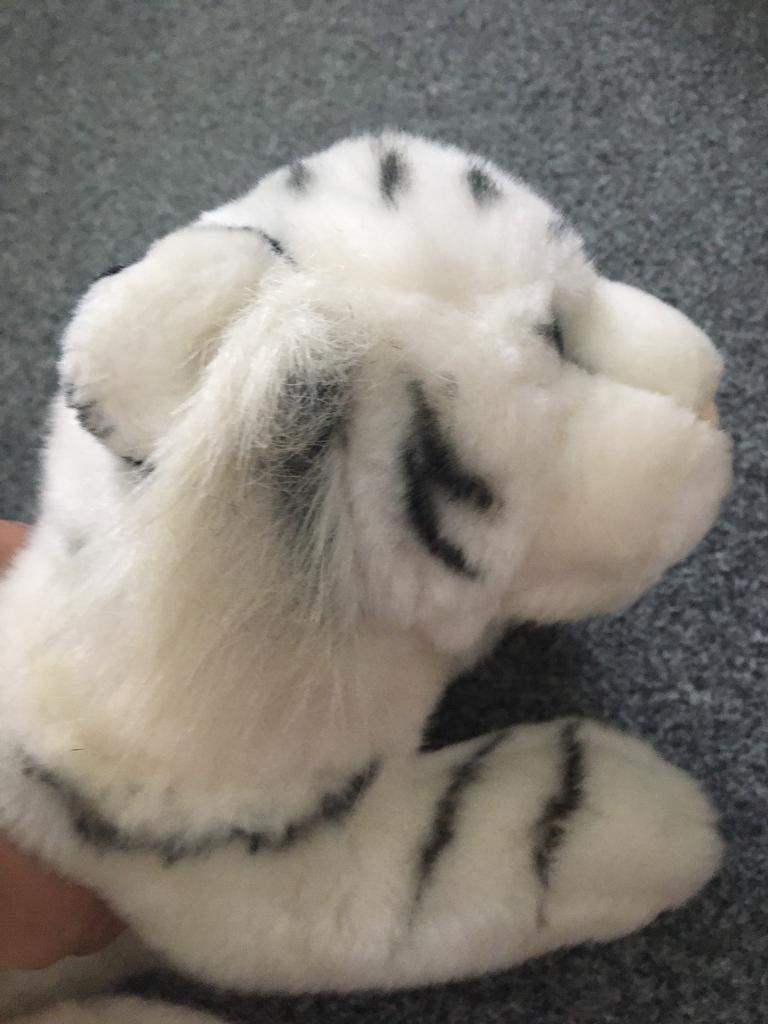 Plush bear 