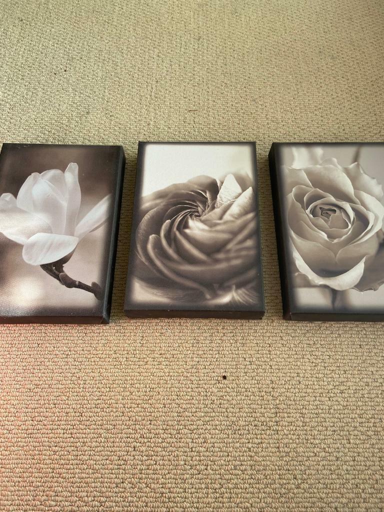image for  Canvas 