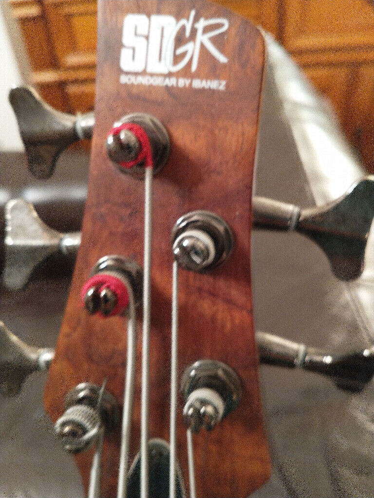 IBANEZ 5 STRING BASS GUITAR - SDGR SR505 plus Ibanez flight case