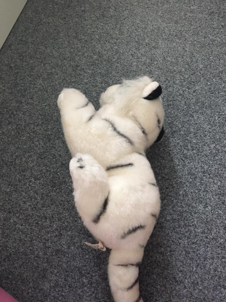 Plush bear 