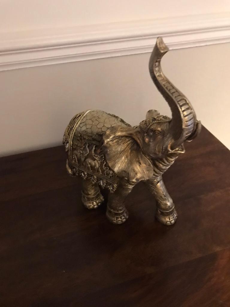 Elephant 