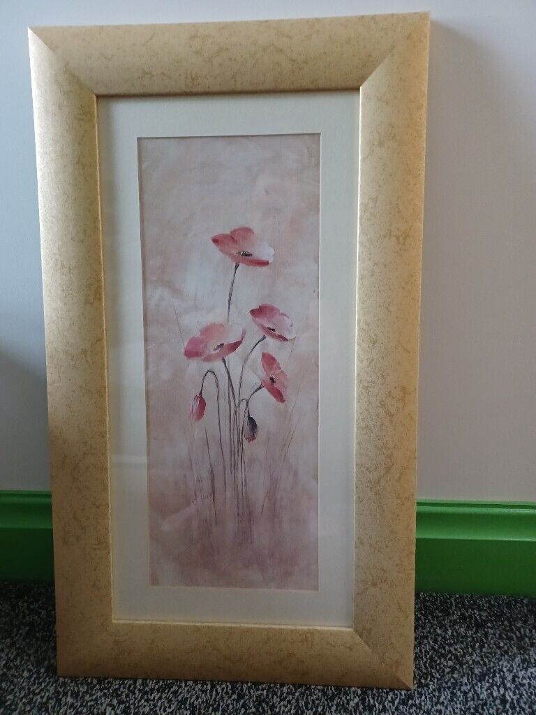 image for Poppy Picture By Artist D Brown
